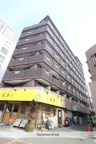 アンヘルム野田