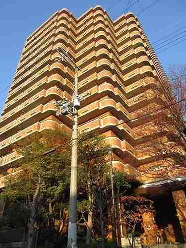 ライオンズマンション大正橋公園