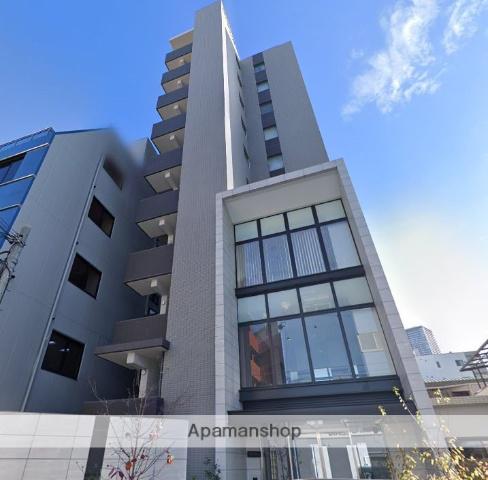 ハナミズキ福島