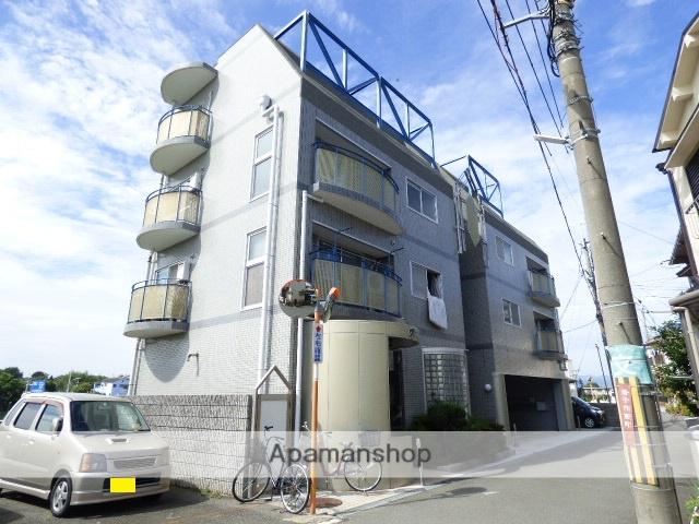 フリーディオ茄子作