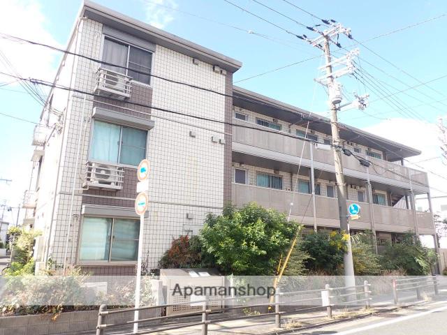 ソレアード橋波