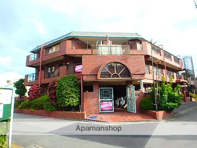 セントポーリア