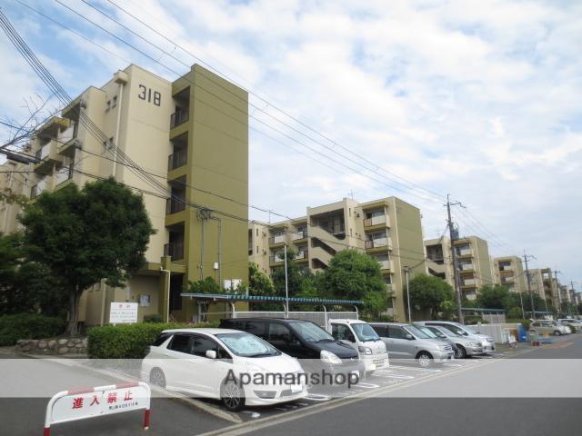 男山第4307棟