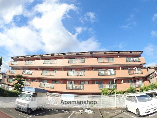 ベルヴェデール大東