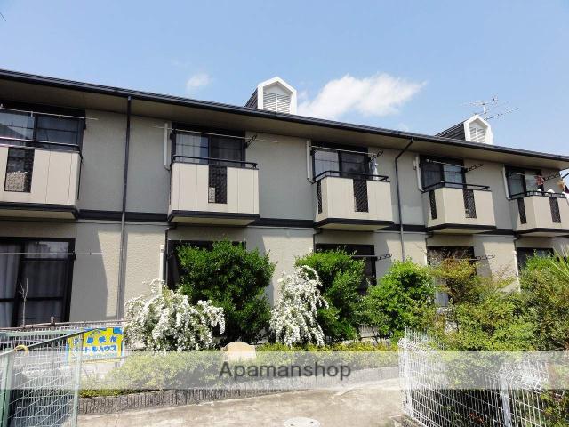 コージィーコート