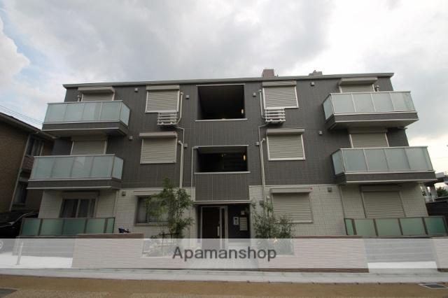 AMARANTHHIRANO