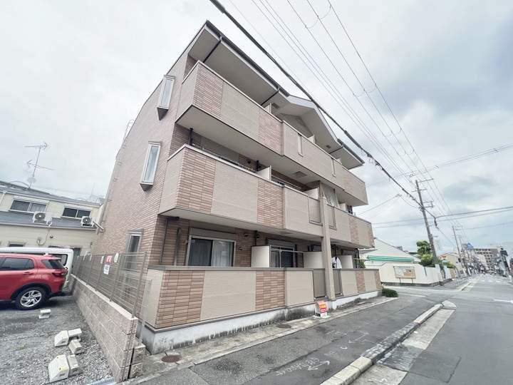 チェリーブロッサム