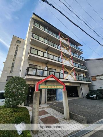 フォレストグリーン