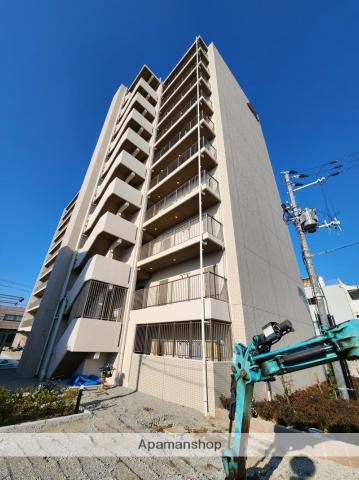 MV.MS大阪新加美