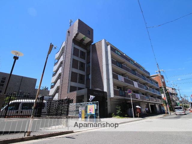 ロータス・ユミ