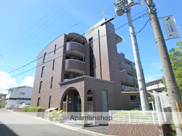 ロベリアコート