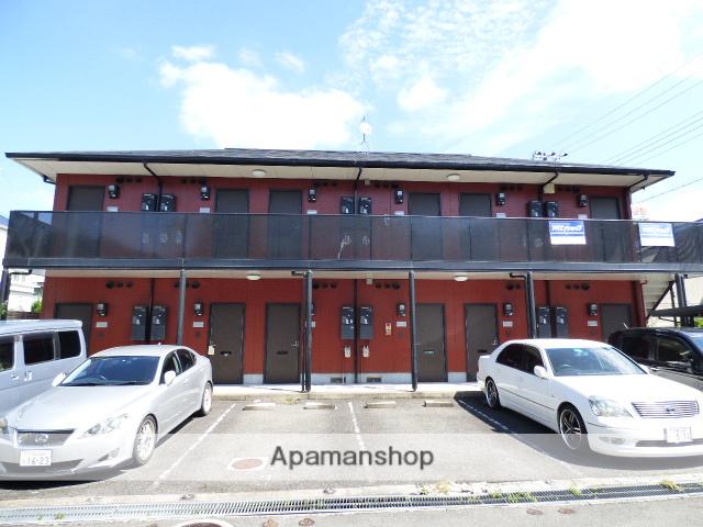 南国スターブル