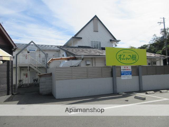 アルビオンハイツ