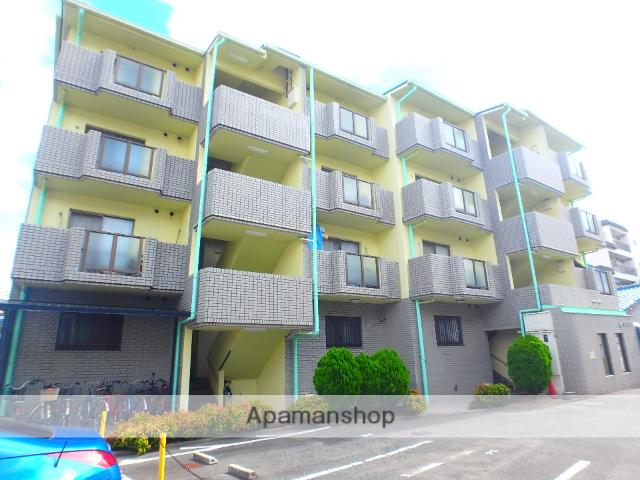 マーブルコート