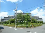 PHOENIX COURT 交野I