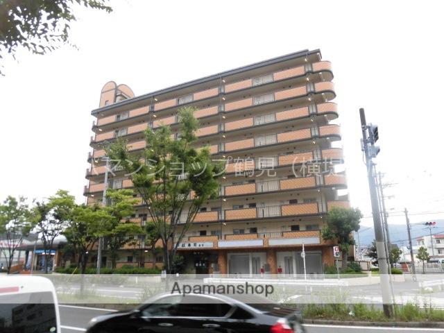 シロハイヌ今米