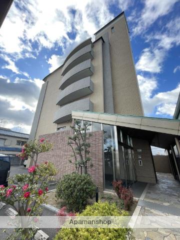 ヴィブレムライ