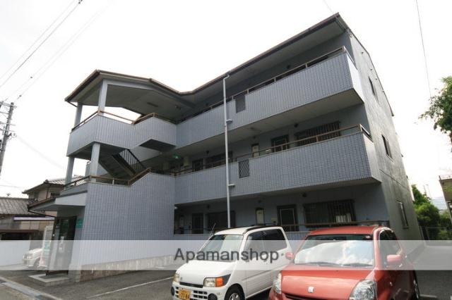 エーデル ピオニー