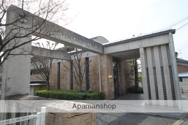 エバーグリーンコンフォート