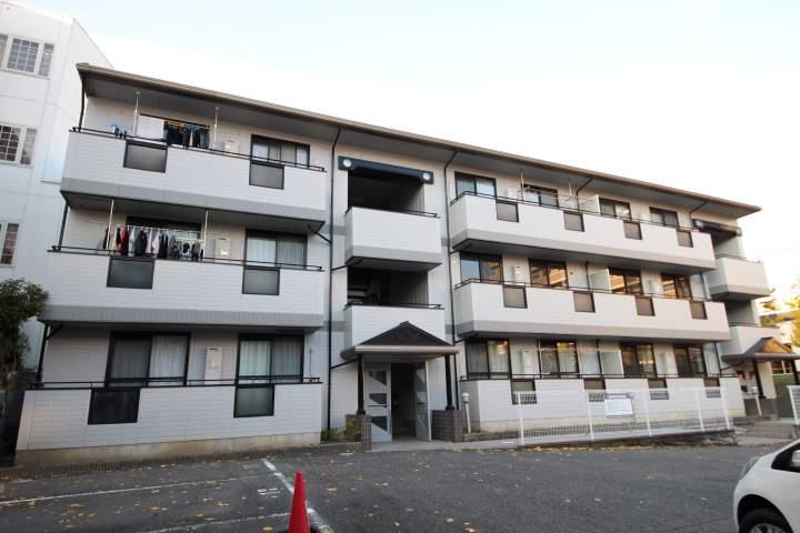 アルス・シンコー