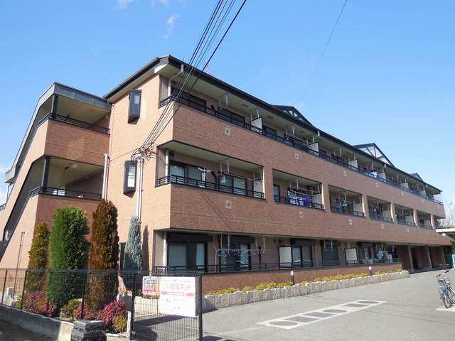 サンライズフジ