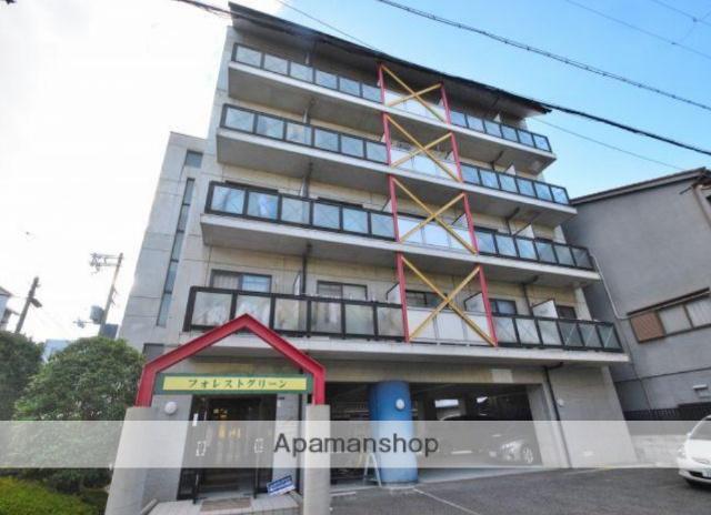 フォレストグリーン