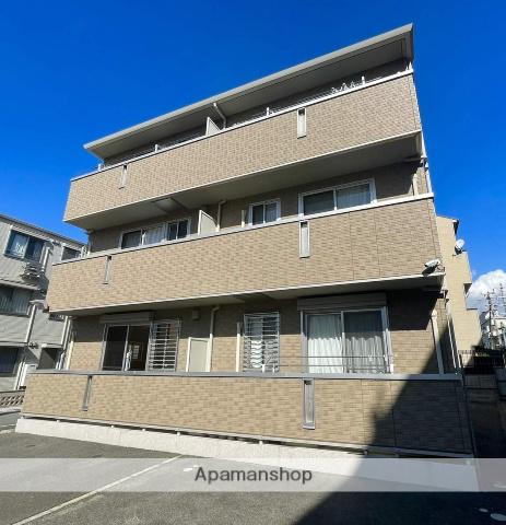 パインフローリッシュ