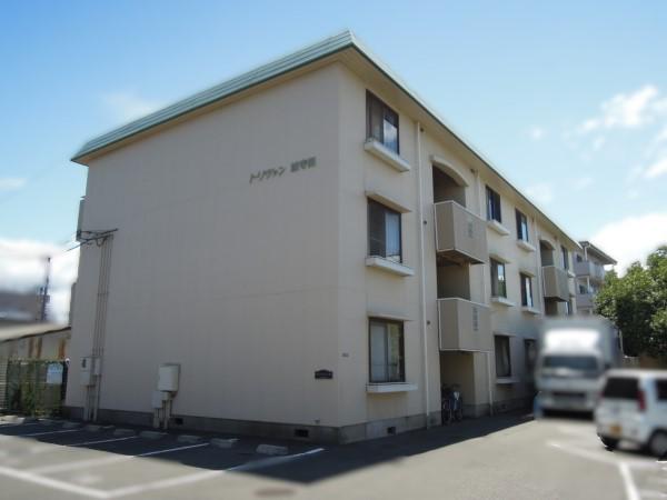 トリヴァン加守田