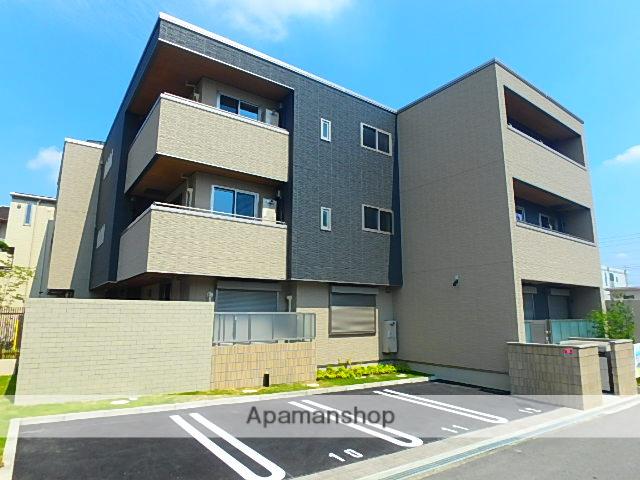 アマランサス