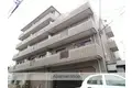 ウィンザー皐月