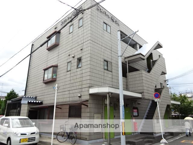 コンパーノ羽衣