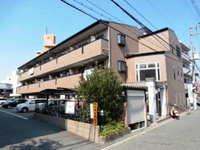 グレイスコート