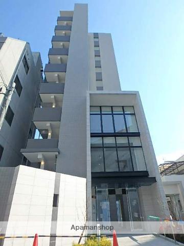 ハナミズキ福島