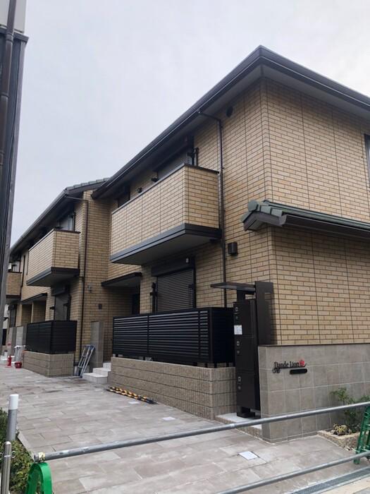 ダンデライオン