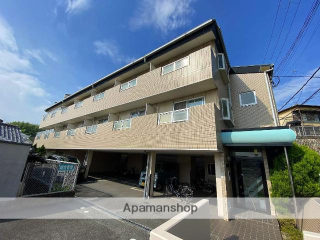 ソルフェリセス