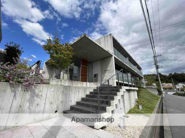 スイレンテーラ