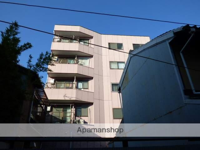 グレーシィコンドウ