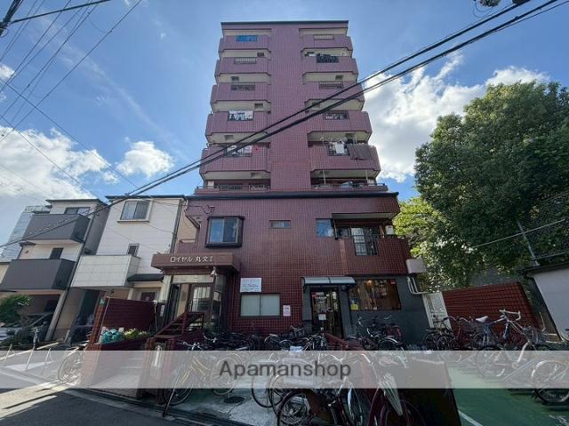 ロイヤル丸文Ⅱ