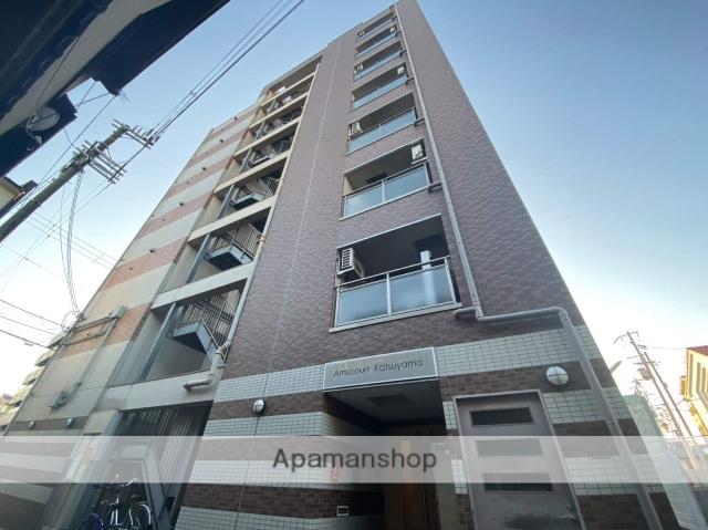 アムズコート勝山