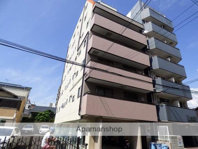 エルシャイン光