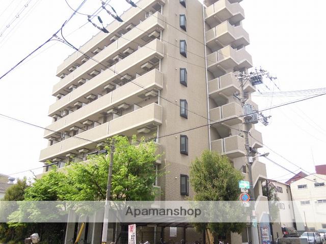 リップル ルネ放出
