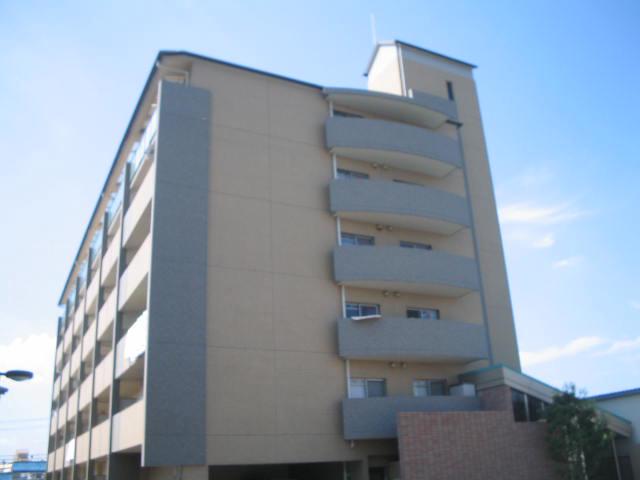 ヴィブレムライ