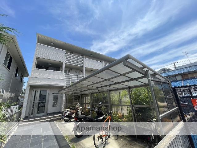 エバーグリーン