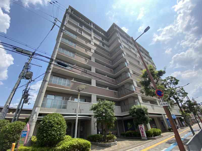 コプリー キタハナダ