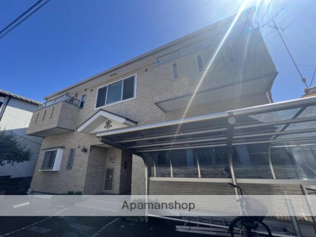 ボルドーコート