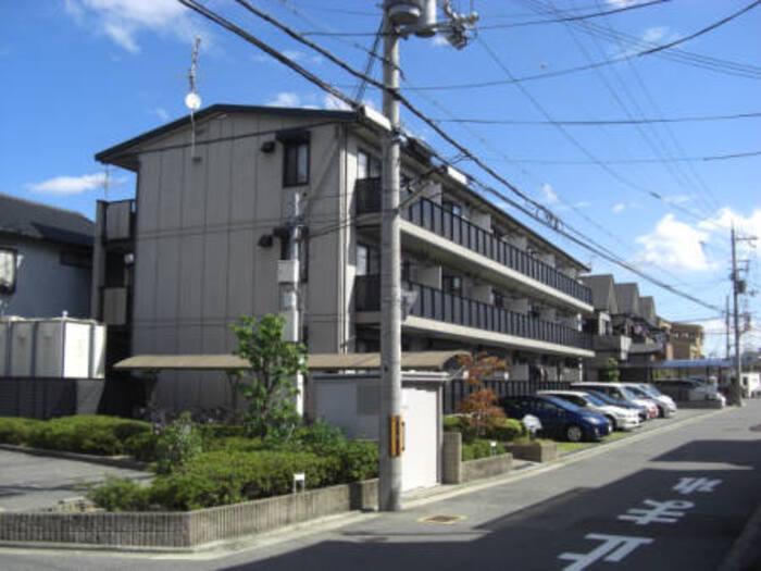 エストゥディオ