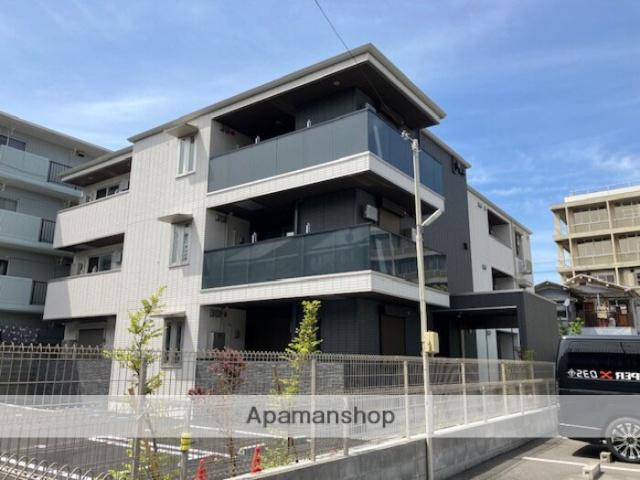 パートリア ネモフィラ