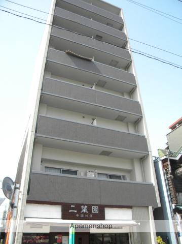 シーラビフォリア