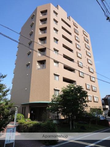 ラフィール心音