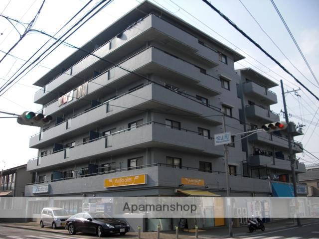 アミューズメント壱番館(3LDK/2階)